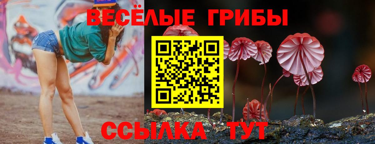 Богданович  Галлюциногенные грибы Psilocybe  Вход с VPN 